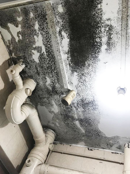 Mold-Bathroom-Ceiling